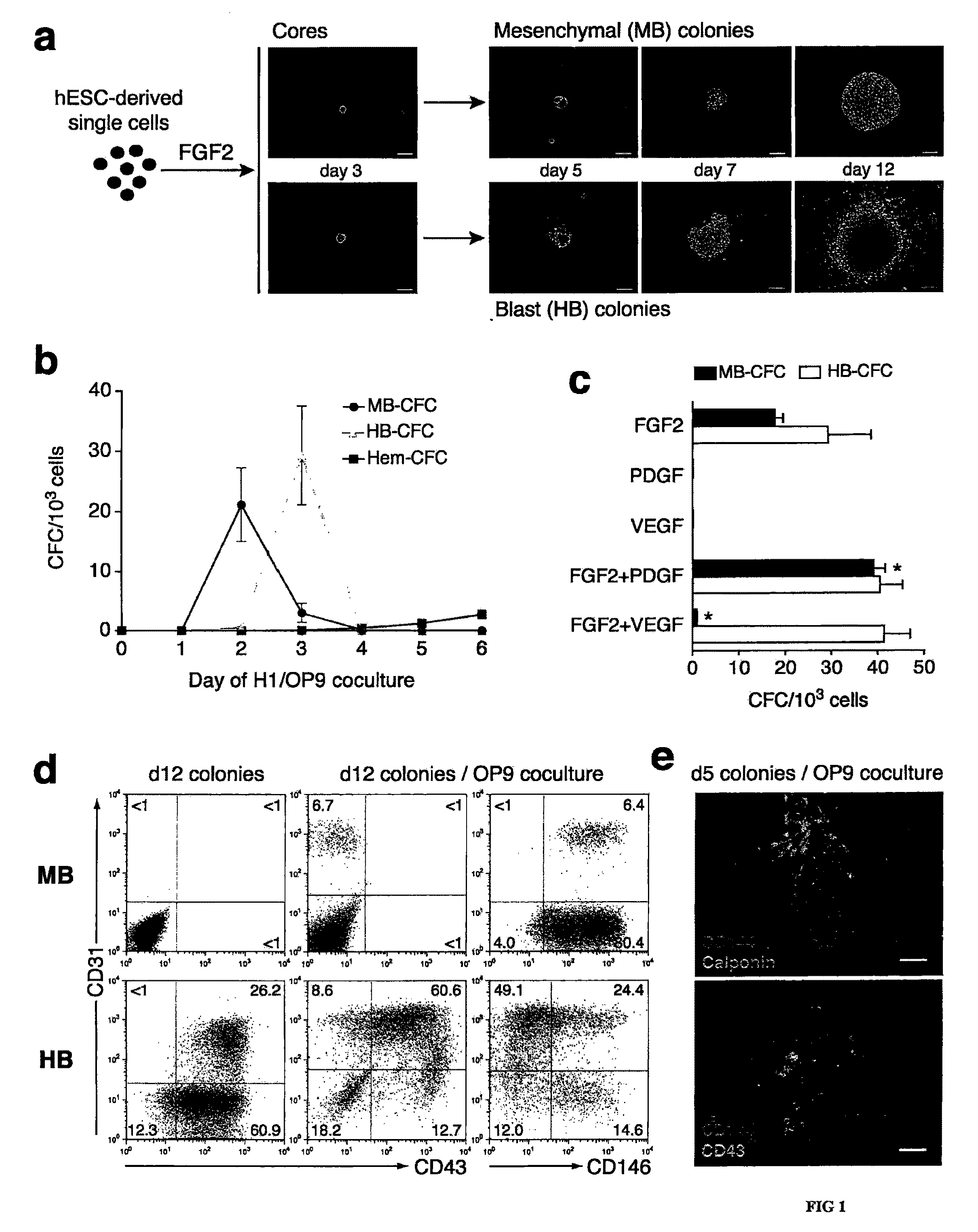 Generation of Clonal Mesenchymal Progenitors and Mesenchymal Stem Cell Lines Under Serum-Free Conditions