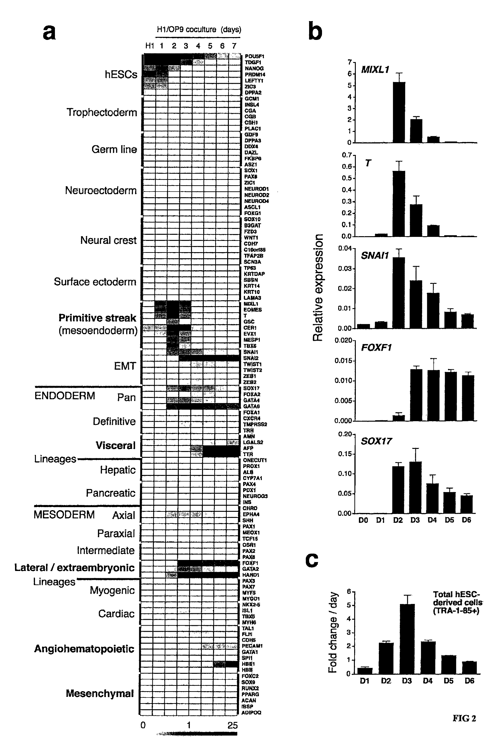 Generation of Clonal Mesenchymal Progenitors and Mesenchymal Stem Cell Lines Under Serum-Free Conditions