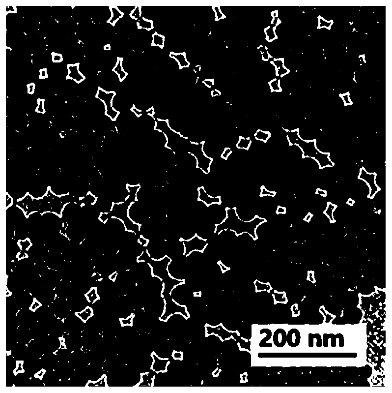 Au@Se@Pt-Ce6 nano composite probe and preparation method thereof