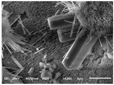 Perovskite-like material CsPb2Br5, as well as synthetic method and application thereof