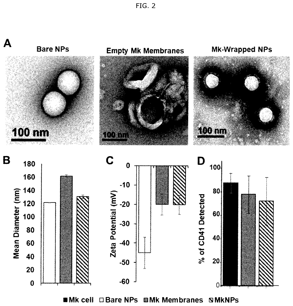 Biomembrane-covered nanoparticles (bionps) for delivering active agents to stem cells