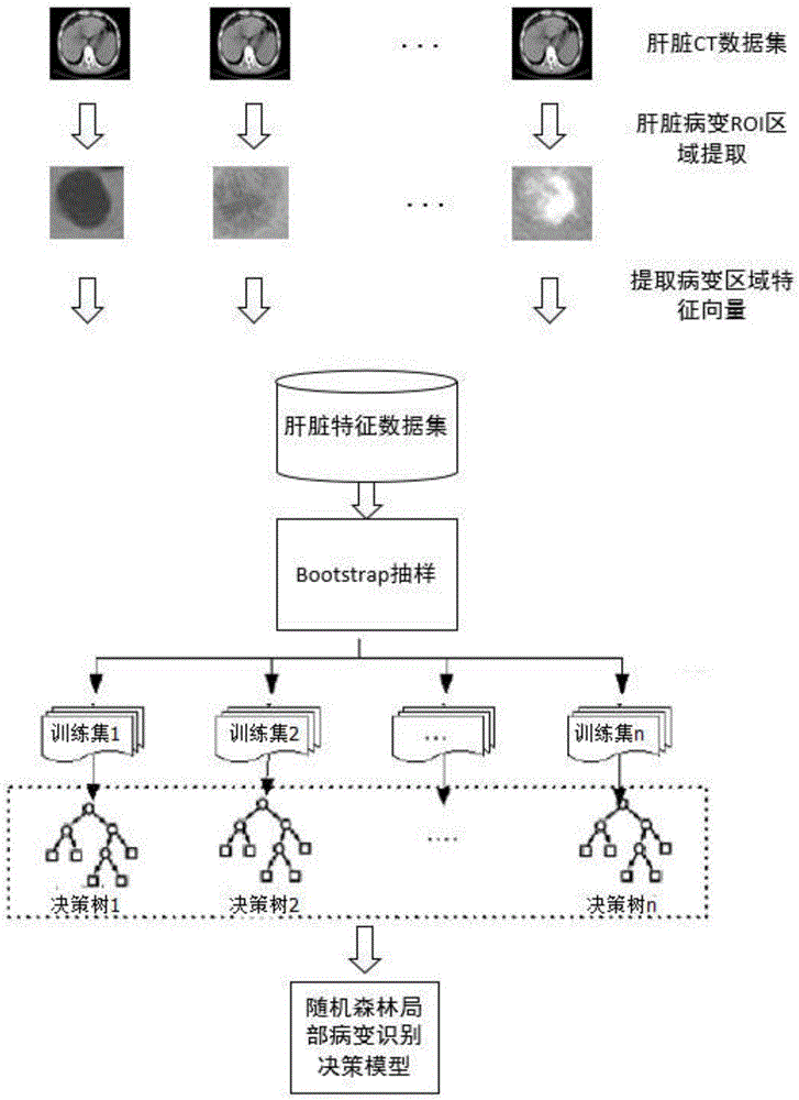 Pathology identification method for routine scan CT image of liver based on random forests