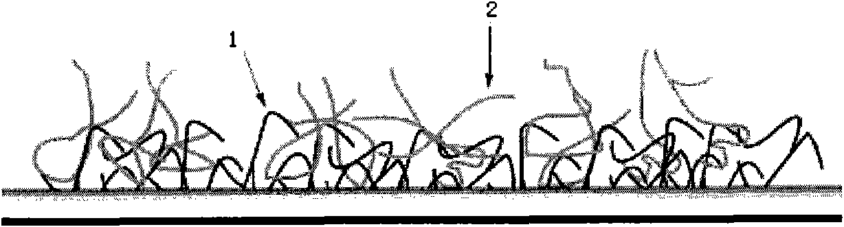 Hydrophilic coating for surface of medical apparatus and preparation method thereof