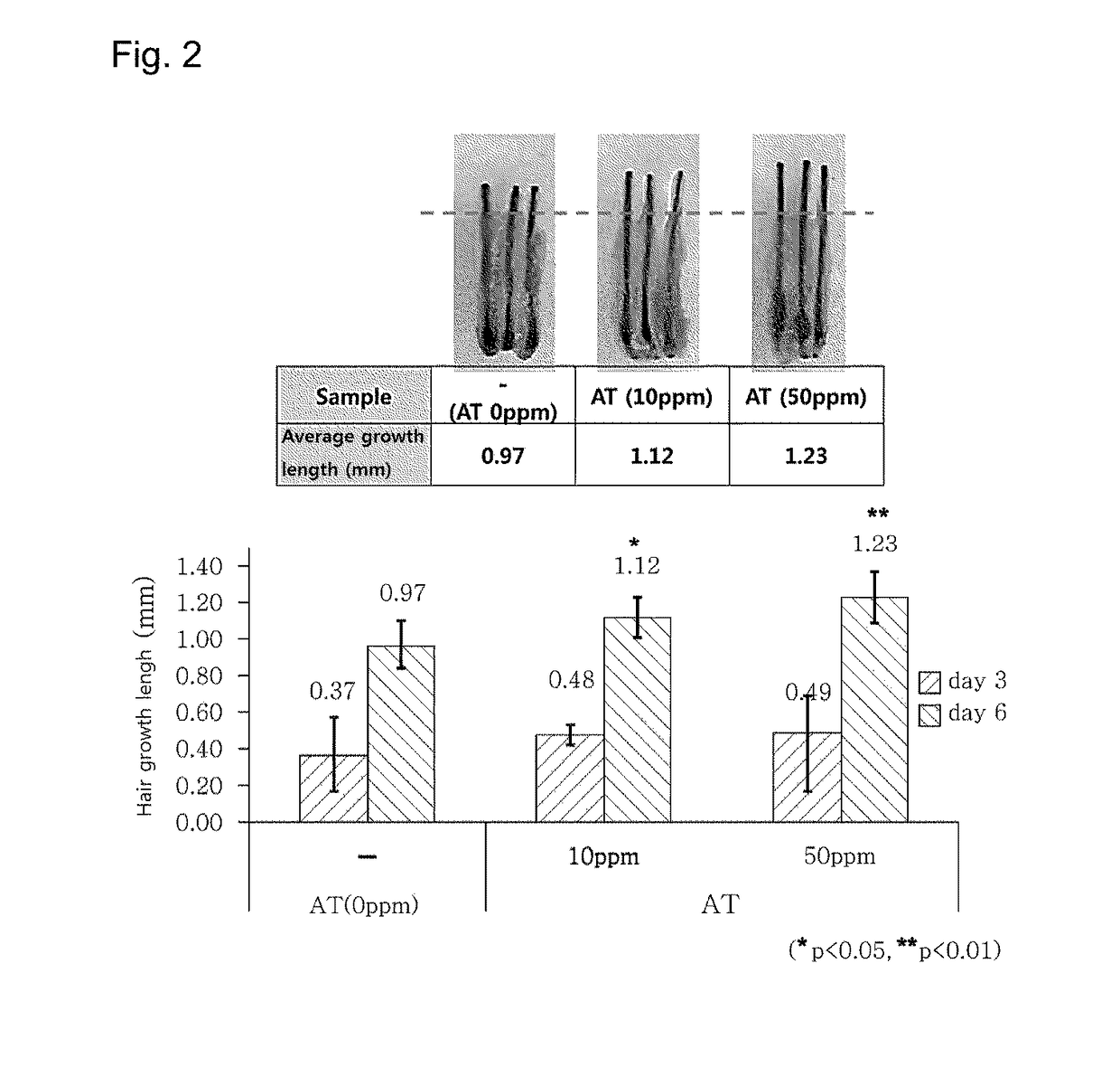 Composition for hair loss prevention or hair growth stimulation comprising artemisia umbelliformis extract