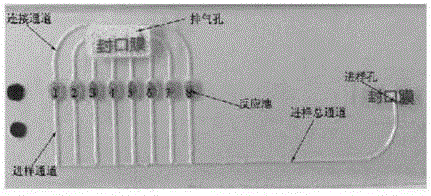 Fulminating-infectious-disease pathogen detecting primer pair and kit