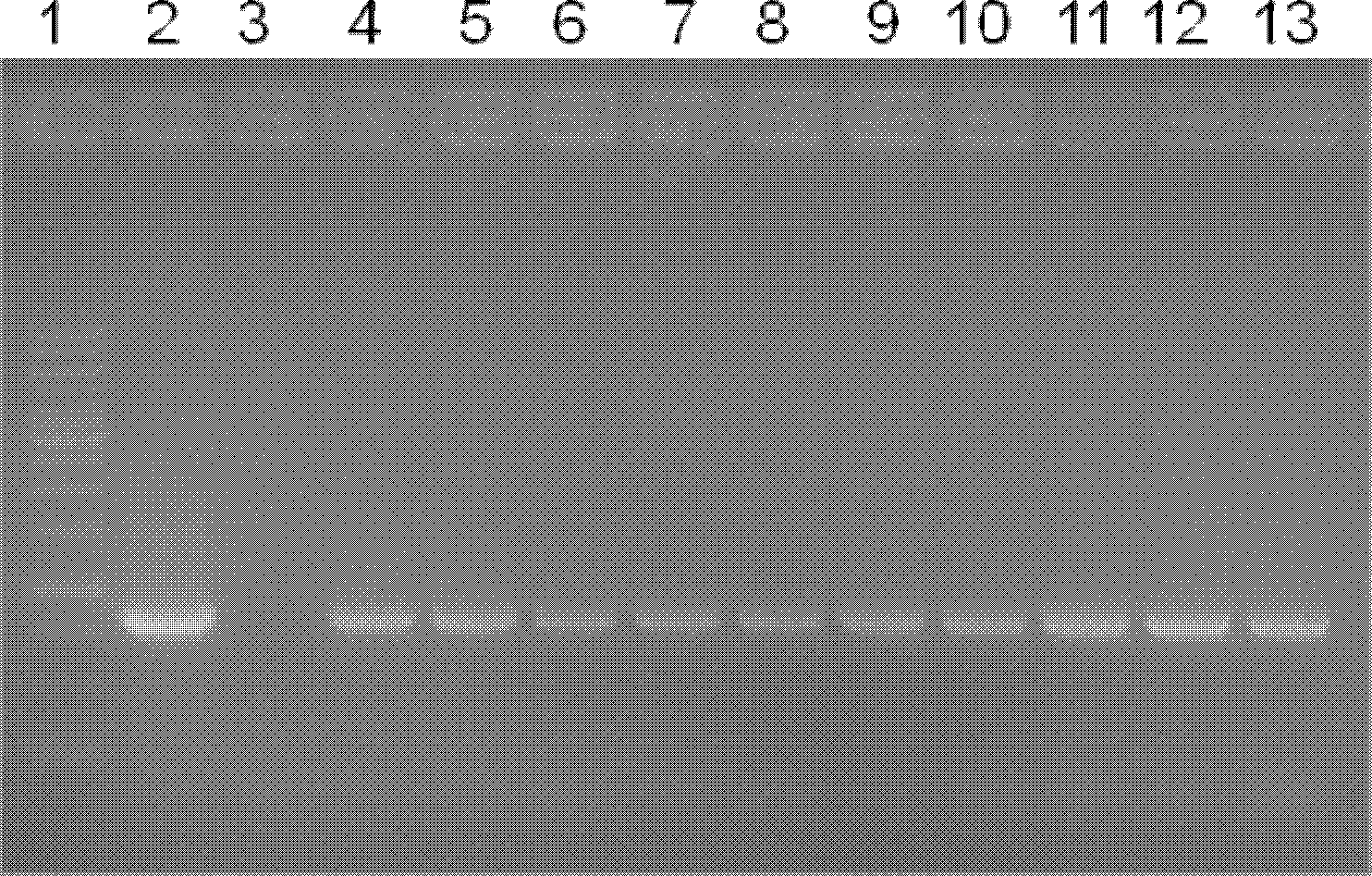 Plant dwarfing related protein ga2ox and its coding gene and application