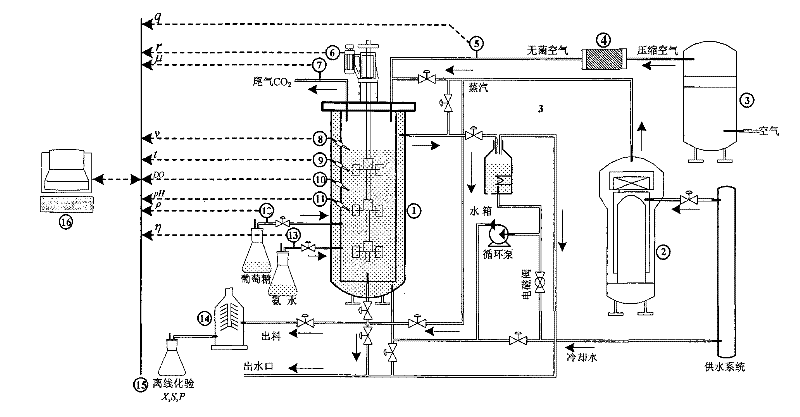 FSVM-based lysine fermentation process key state variable soft measuring method and system