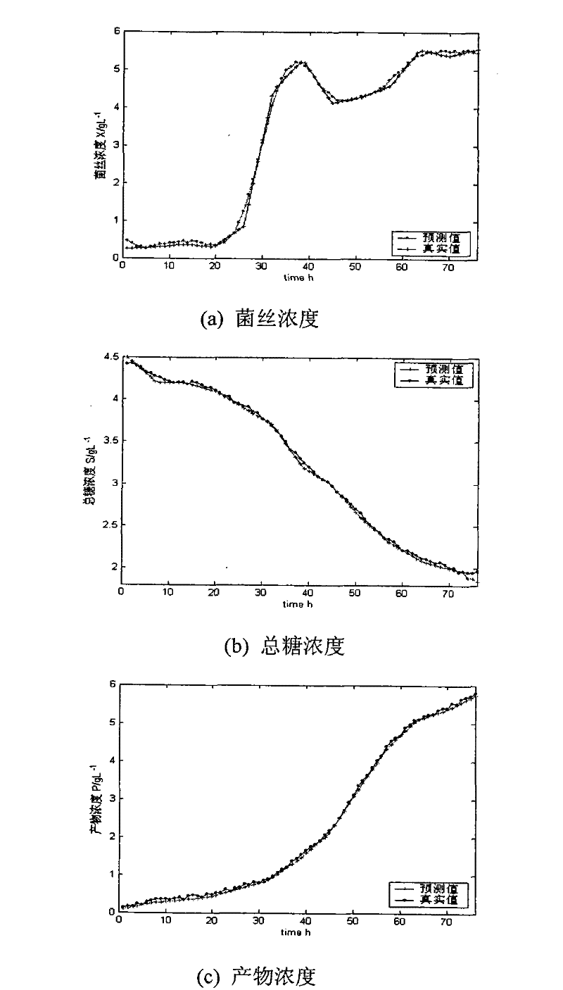 FSVM-based lysine fermentation process key state variable soft measuring method and system