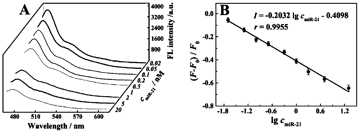 Amphiphilic DNA nano-micelle and preparation method and application thereof