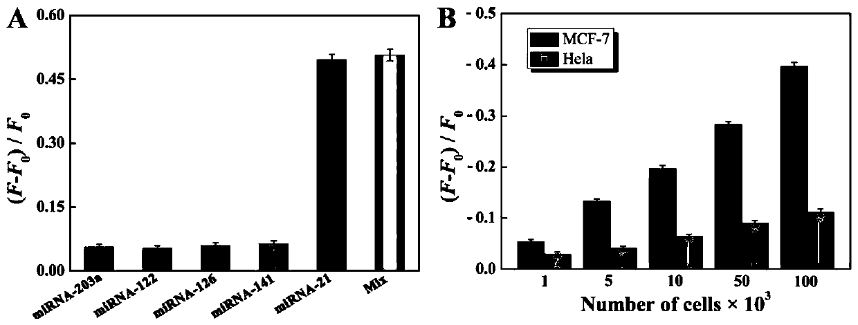 Amphiphilic DNA nano-micelle and preparation method and application thereof