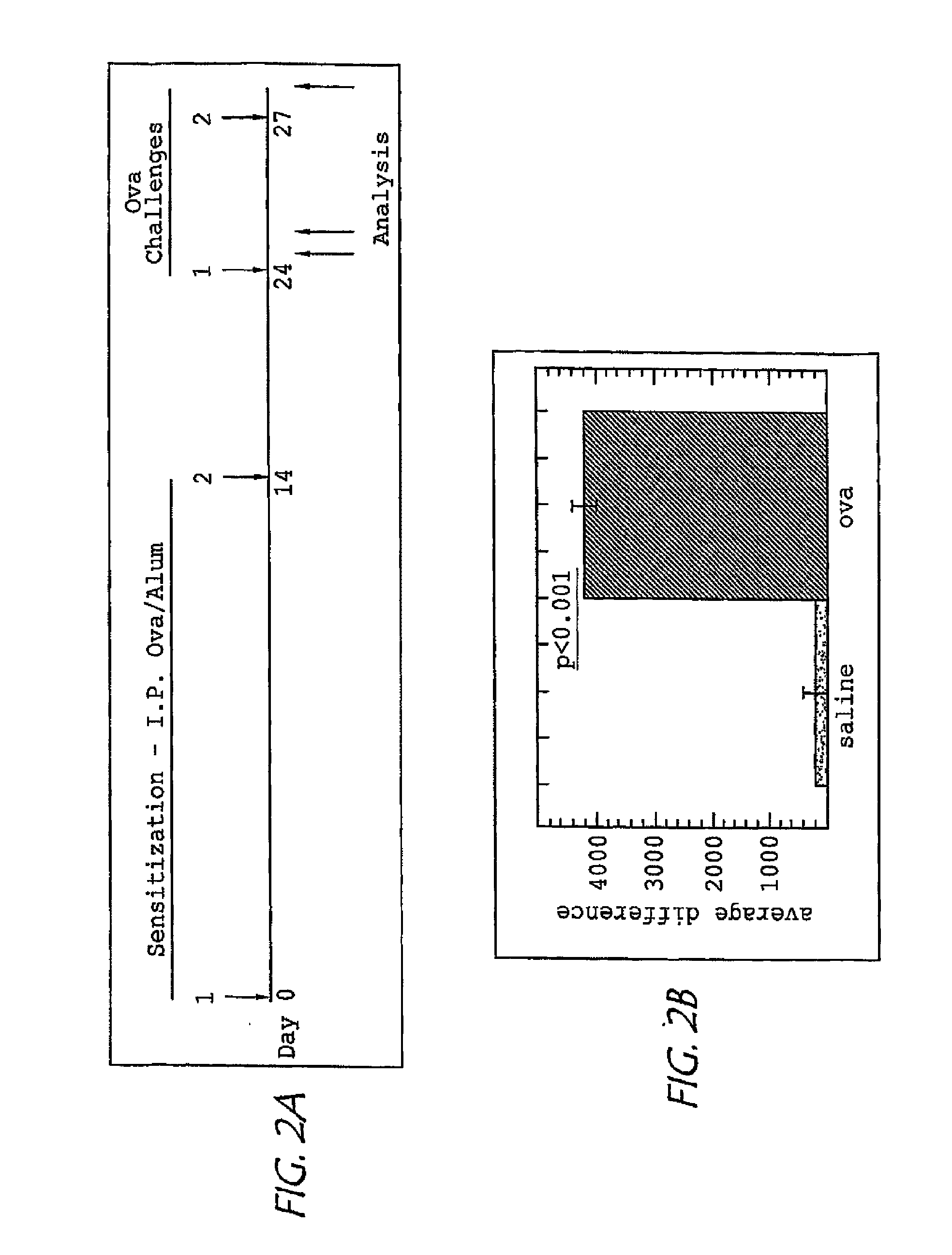 Treatment for asthma and allergy