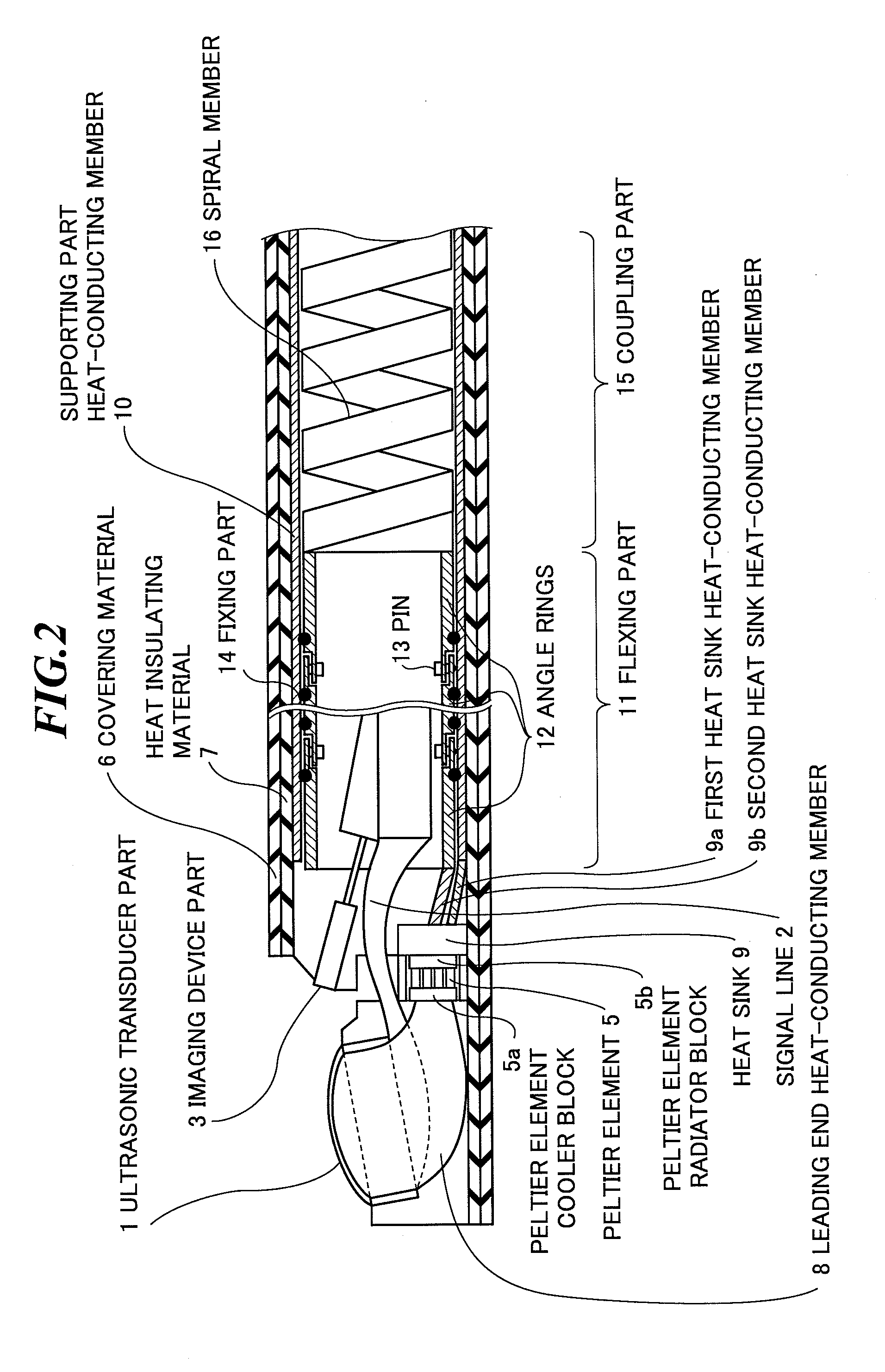 Ultrasonic endoscope and ultrasonic endoscopic apparatus