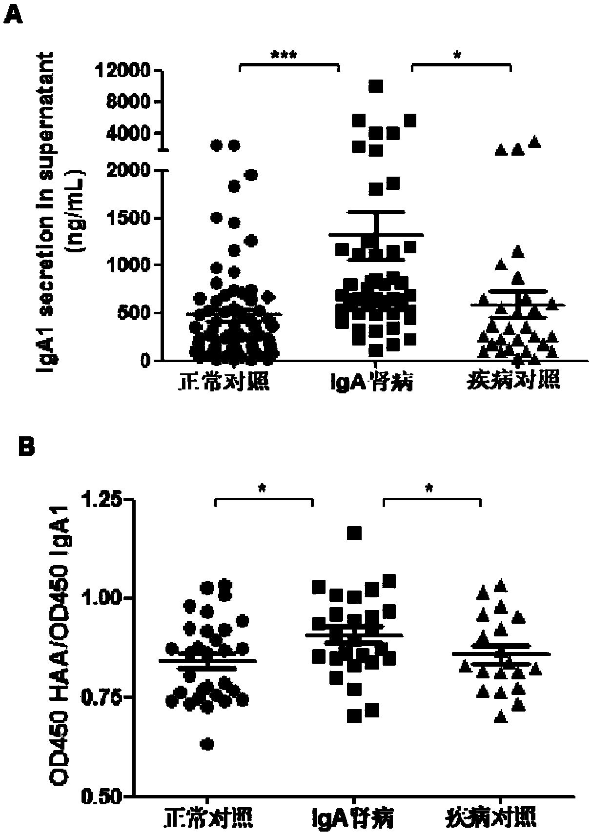 Application of TLR7 and TLR8 as prophylactic and therapeutic targets for IgA nephropathy and inhibitors of TLR7 and their use