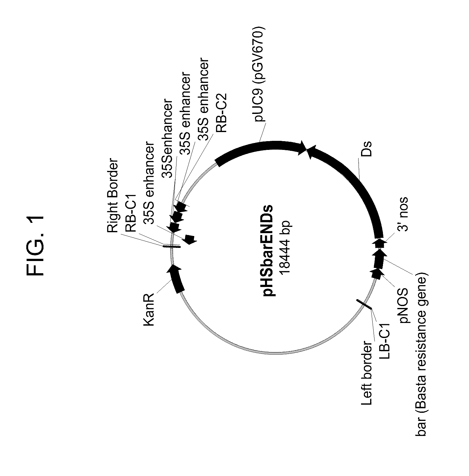 Drought tolerant plants and related constructs and methods involving genes encoding ferredoxin family proteins