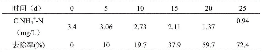 Salt-tolerant cold-resistant ammonia oxidizing bacterium immobilizing method and application thereof