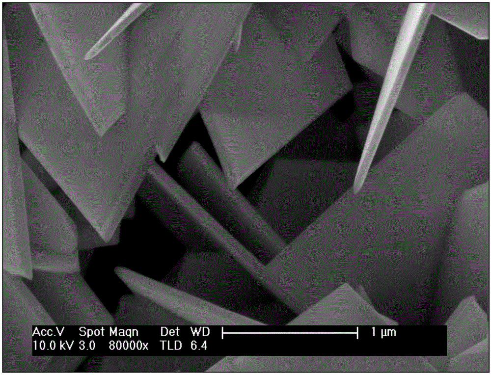 Method for preparing BiOCuS nanosheets by adopting concentrated alkali hydrothermal method