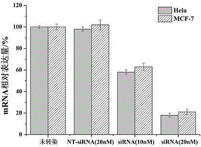 siRNA sequence for inhibiting survivin gene expression and use