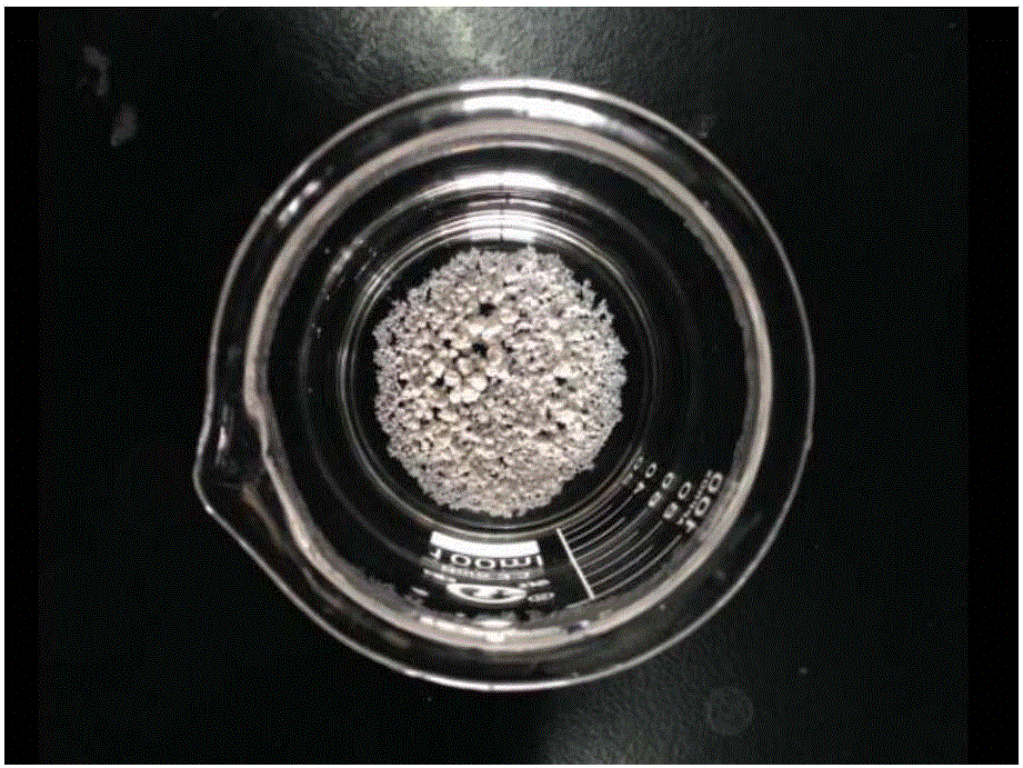 Modified attapulgite nano particles and preparation method thereof