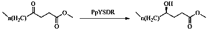 Biological preparation method of chiral hydroxy acid ester