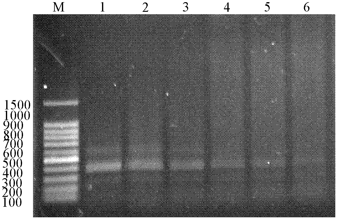 PCR (polymerase chain reaction) method for eliminating genes