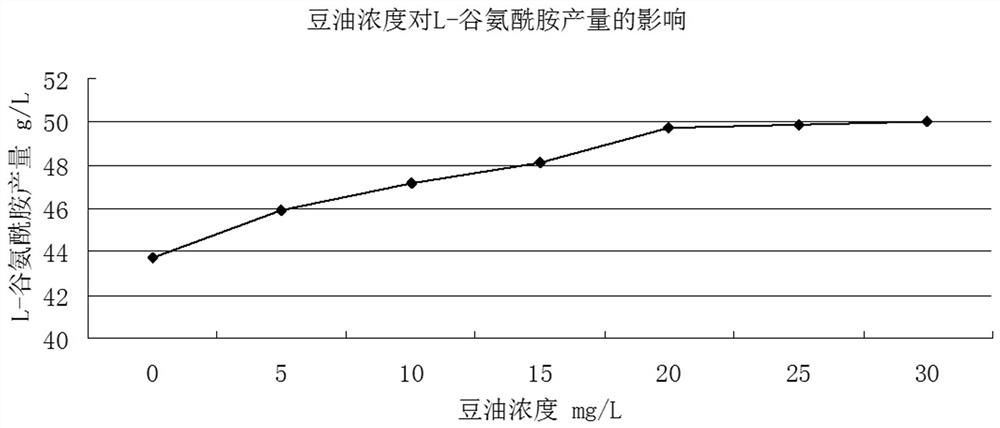 A method for producing, separating and extracting L-glutamine