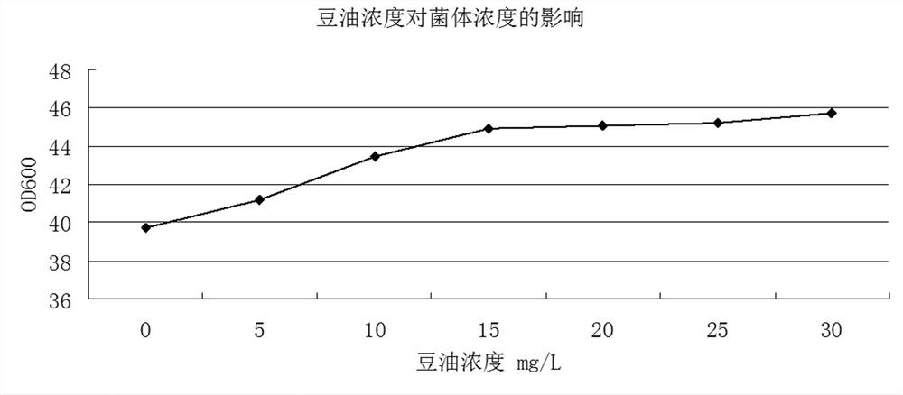 A method for producing, separating and extracting L-glutamine