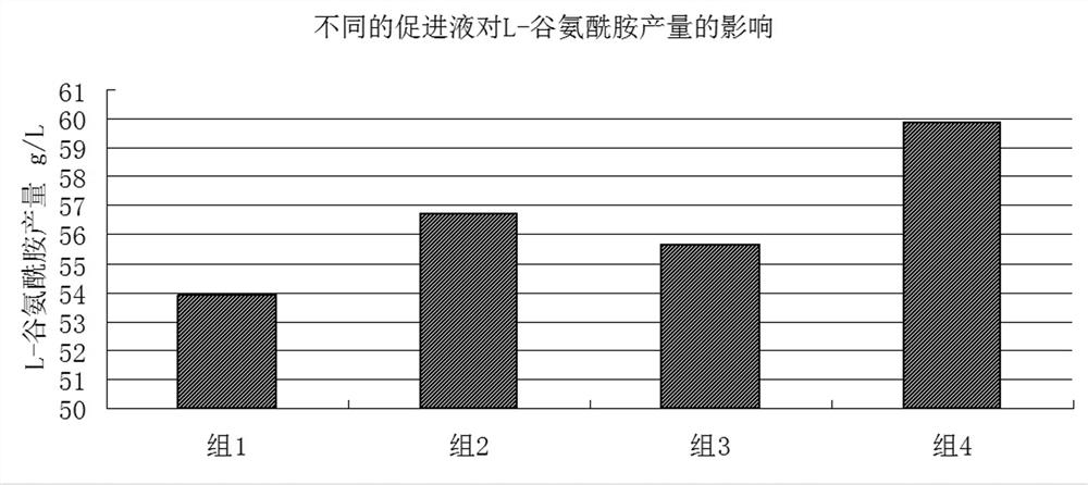 A method for producing, separating and extracting L-glutamine