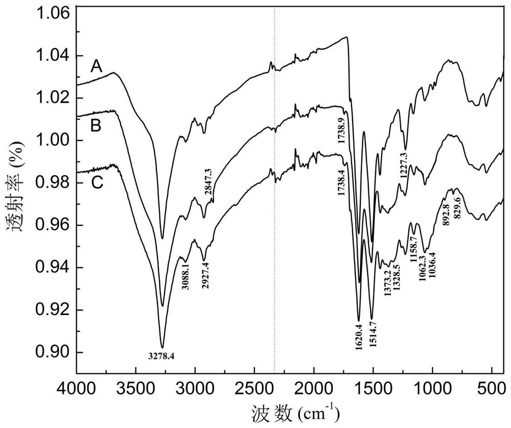 Water-soluble oxidized chitosan and method for finishing fabric by using water-soluble oxidized chitosan