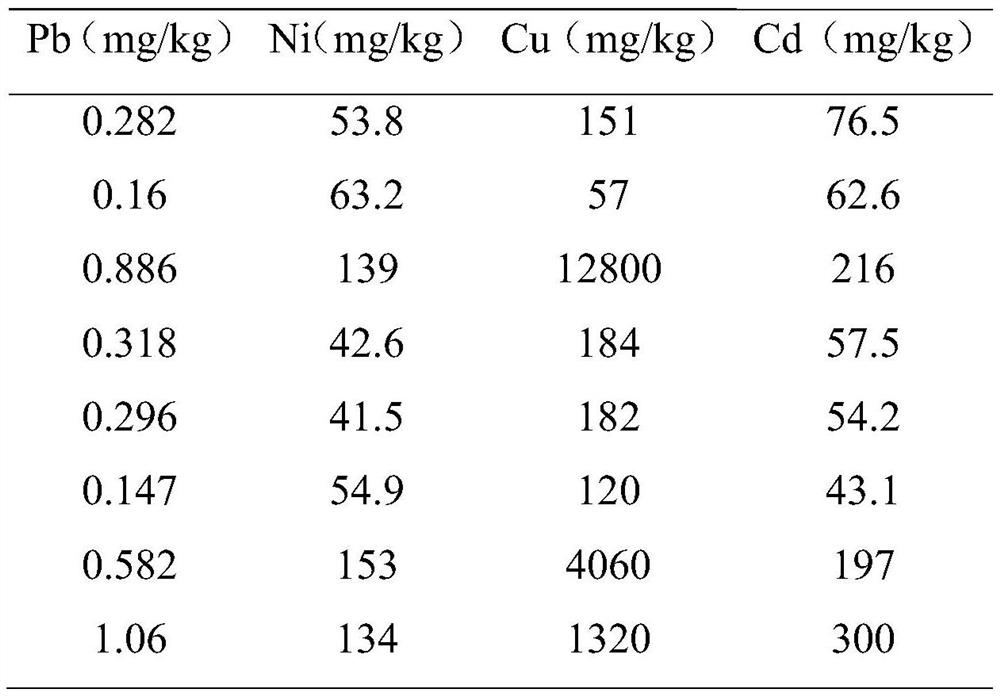 Contaminated site ecological risk evaluation method based on scenes