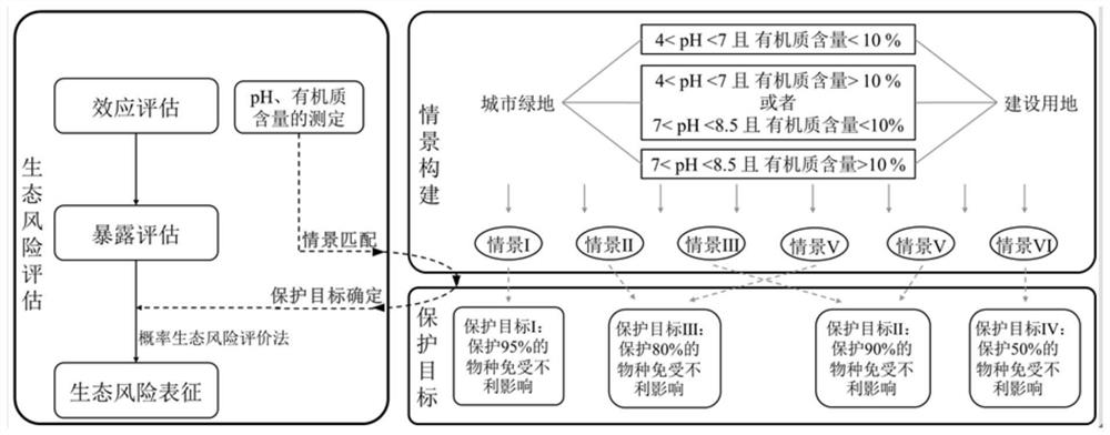 Contaminated site ecological risk evaluation method based on scenes