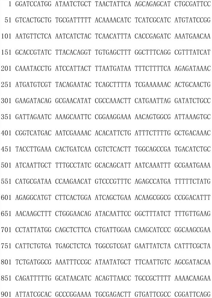 Method for producing nicotinamide mononucleotide by utilizing recombinant bacillus subtilis