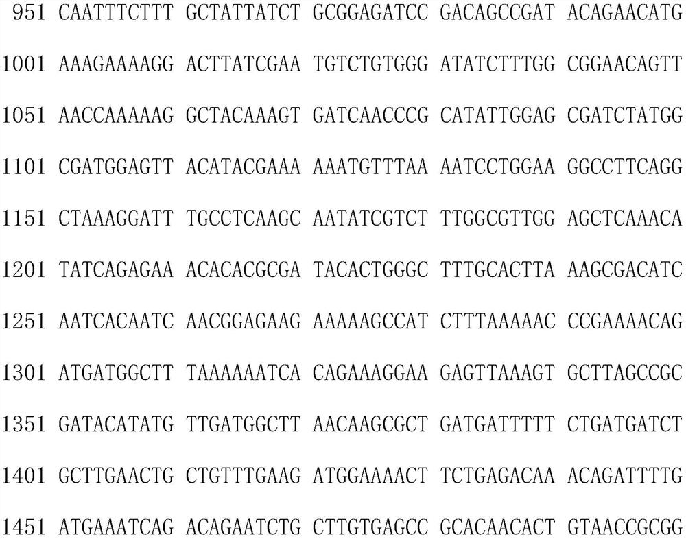 Method for producing nicotinamide mononucleotide by utilizing recombinant bacillus subtilis