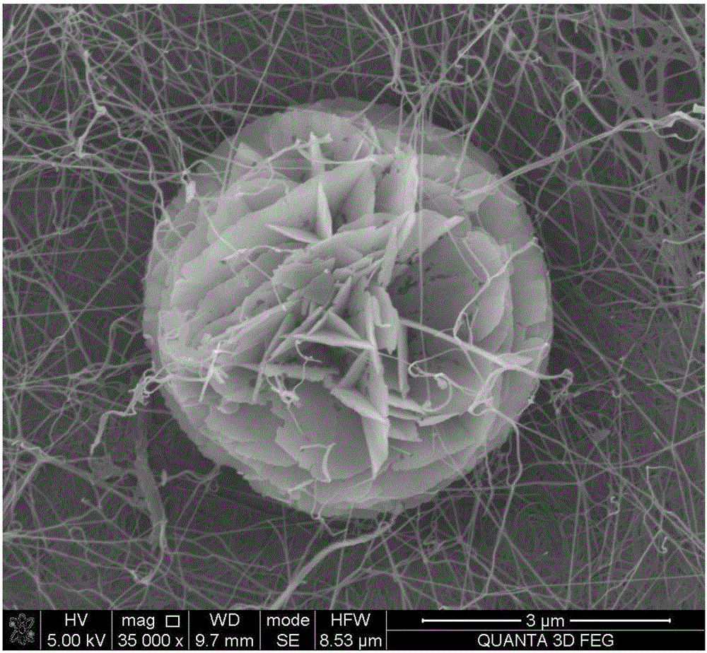 Bacterial cellulose flexible composite piezoelectric film and preparation method thereof