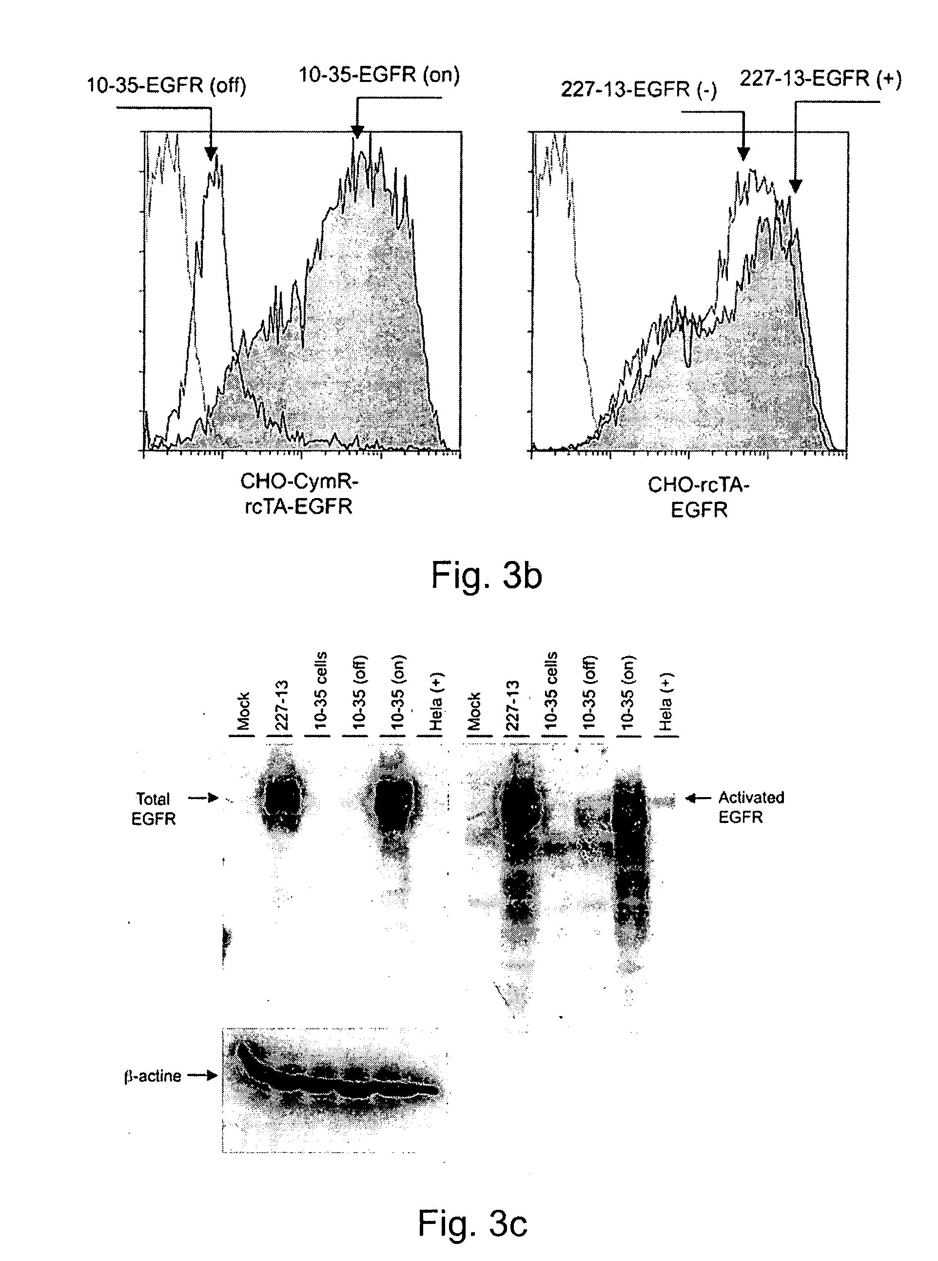 System for regulated and enhanced baculovirus mediated transient transgene expression in mammalian cells