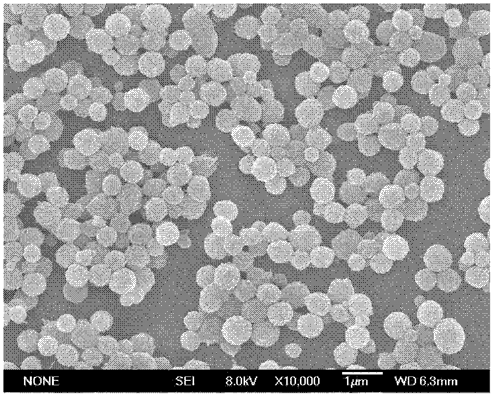 Nano-micro drug delivery system and preparation method of 10-hydroxyl camptothecin