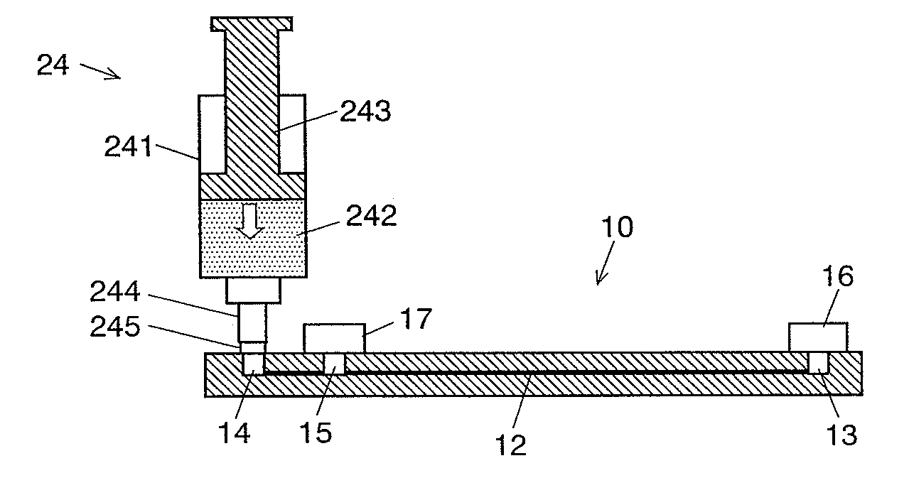 Electrophoretic chip and a method of electrophoresis