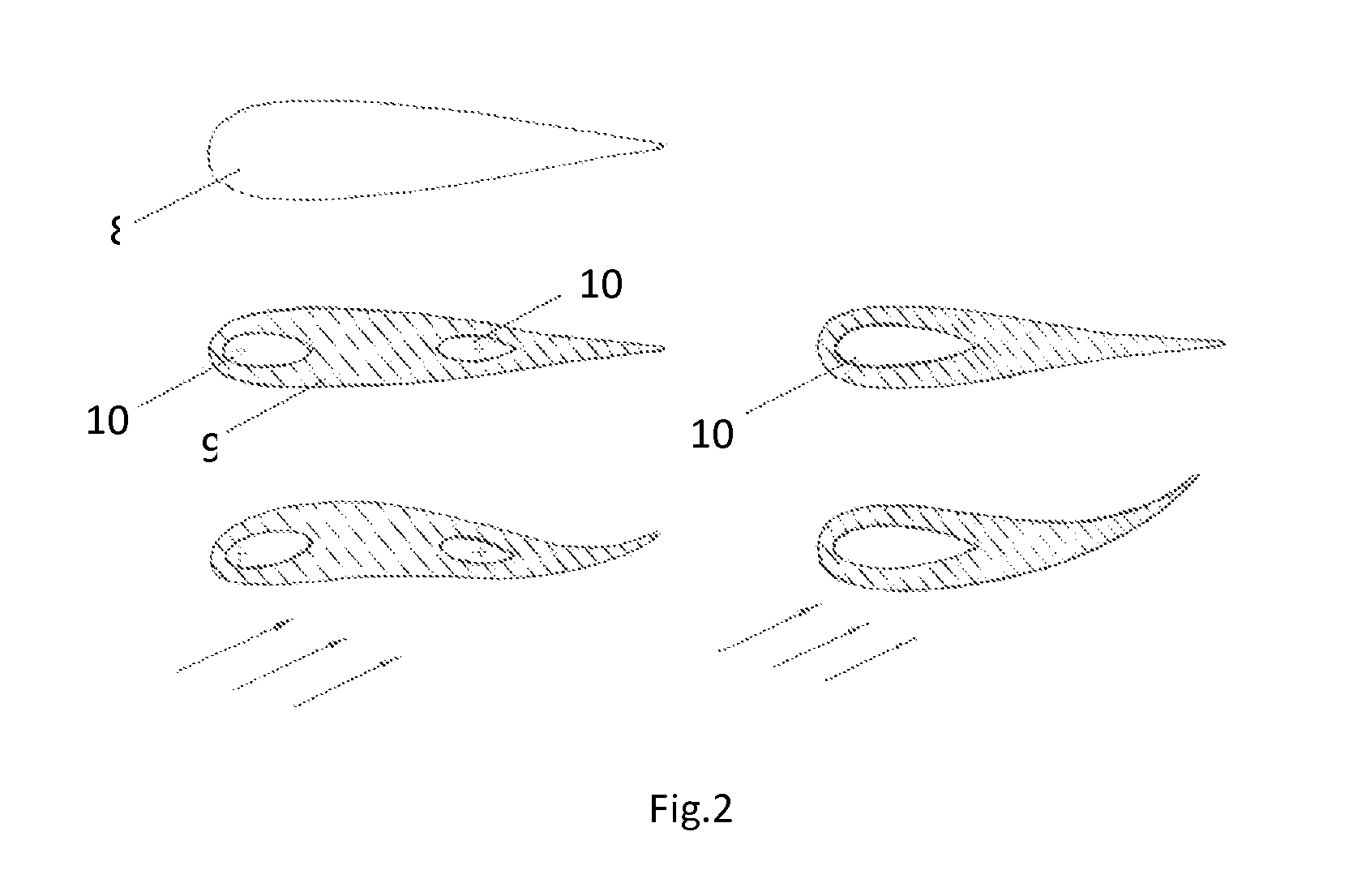 Two Fin Swimming Apparatus