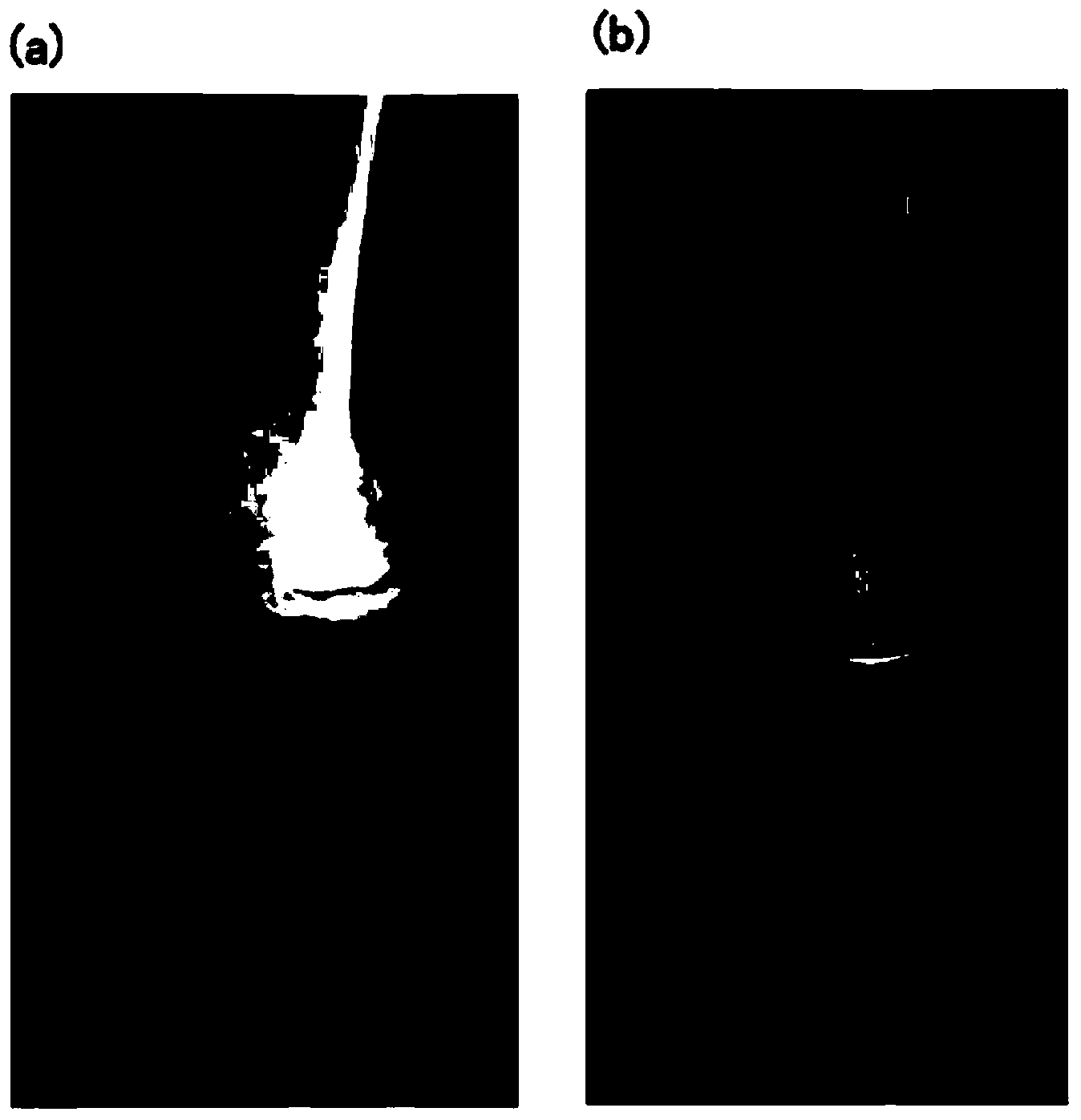 Cell preparation including fat cell