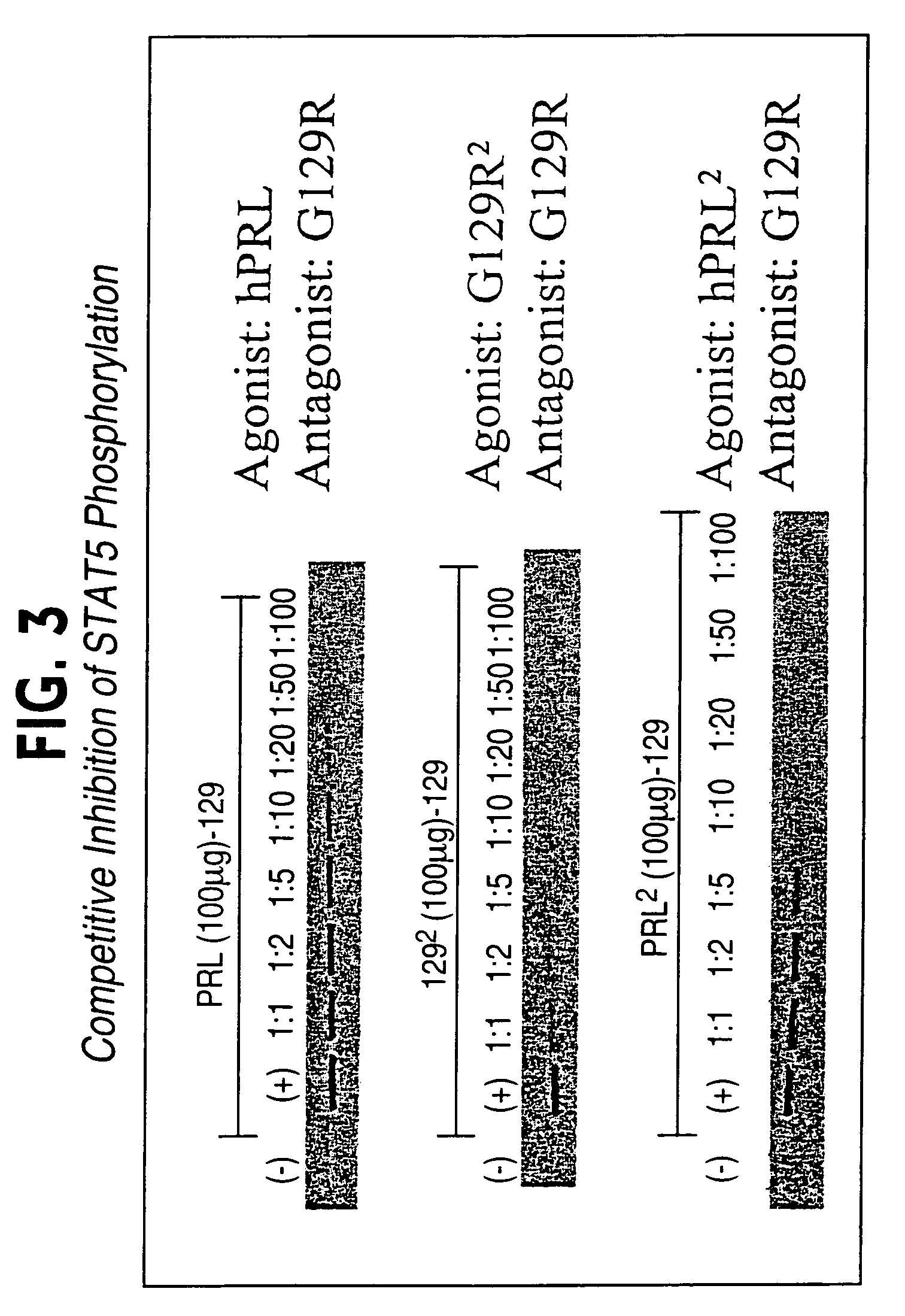 Multimeric ligands with enhanced stability