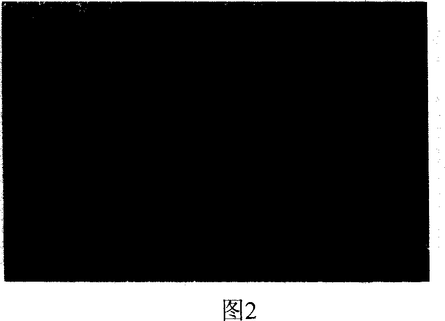 Multi-stage ordered medium hole/big hole composite material and preparation method thereof