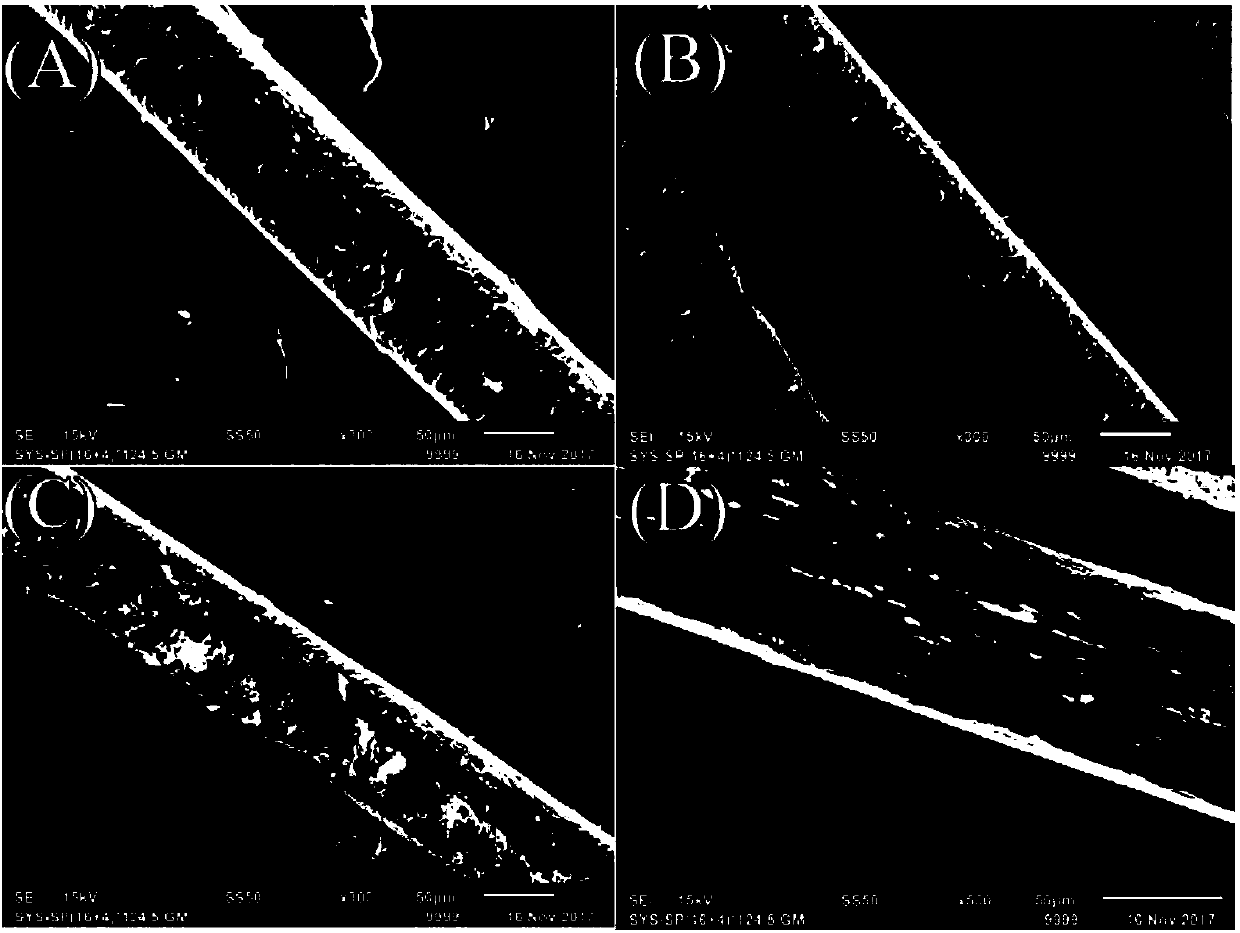 Hair conditioner and preparation method thereof