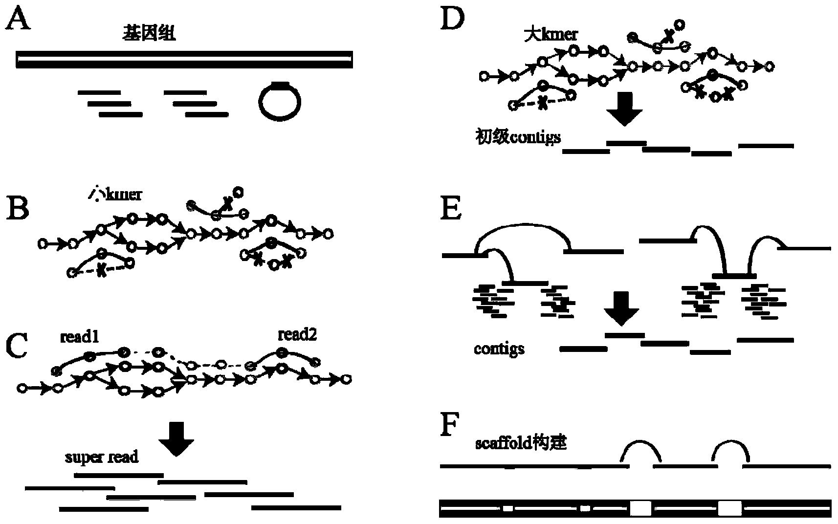 High-throughput sequencing data-based genome de novo assembly method