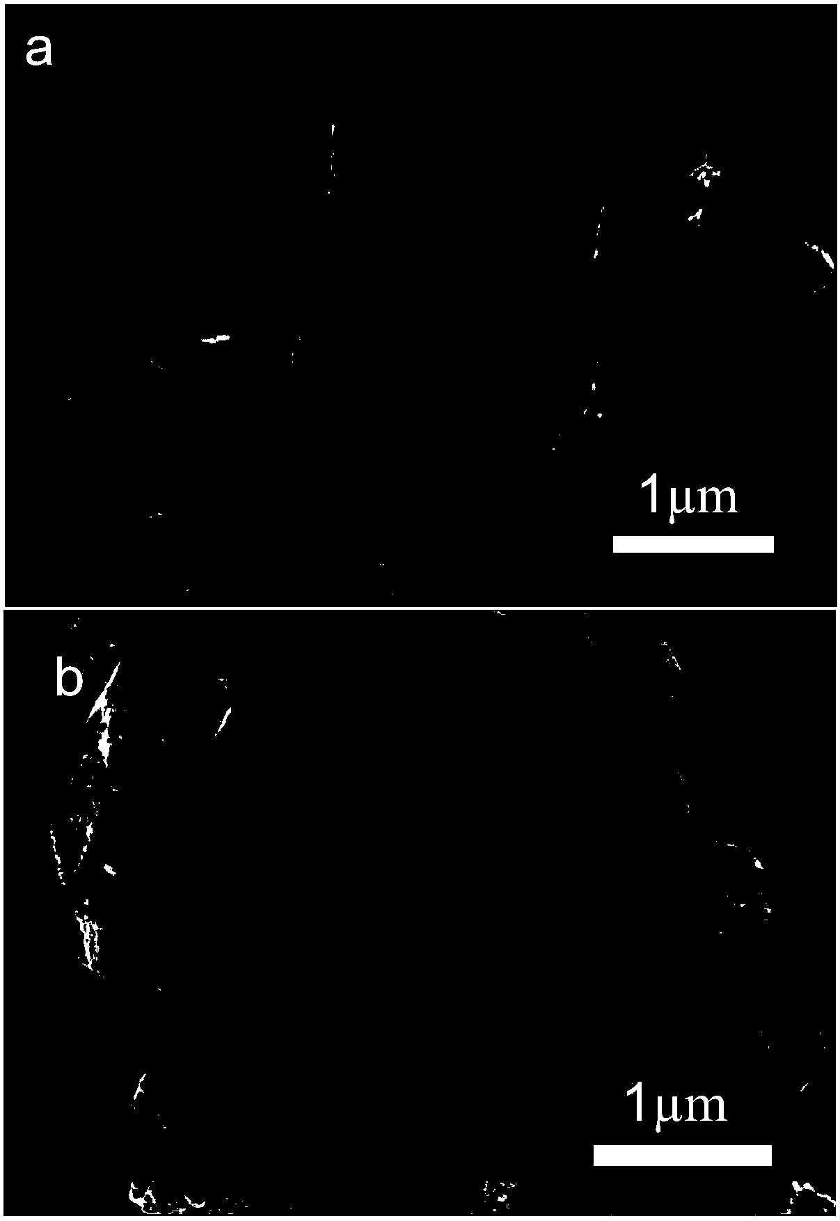 Zinc oxide composite photocatalyst, preparation method and application thereof