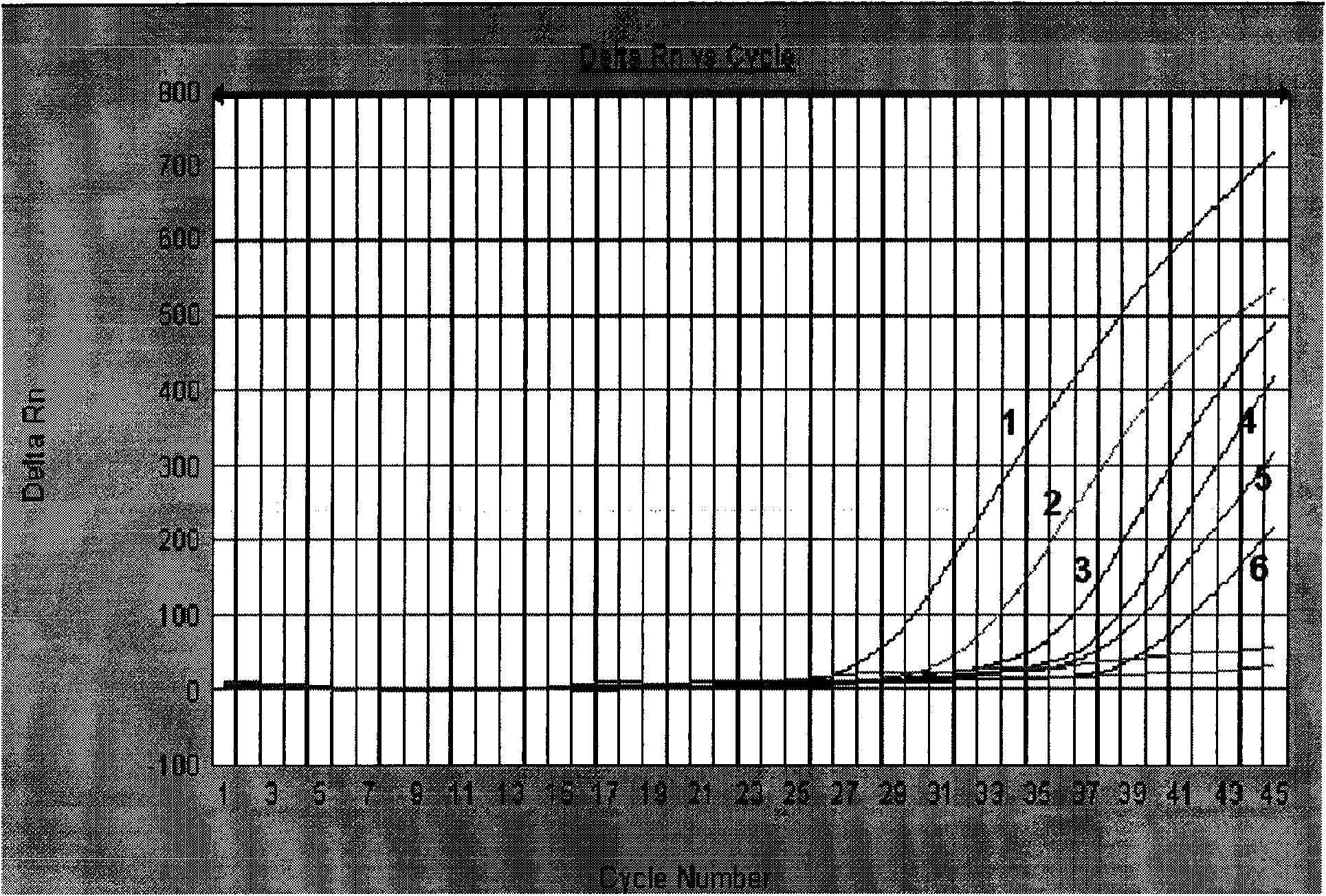 Method for detecting allergen filbert component in foods by fluorescent PCR technology