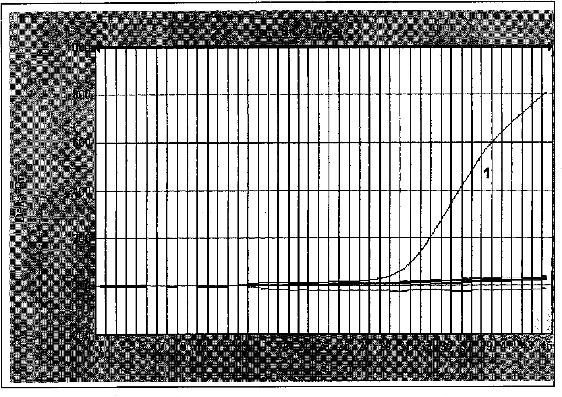 Method for detecting allergen filbert component in foods by fluorescent PCR technology