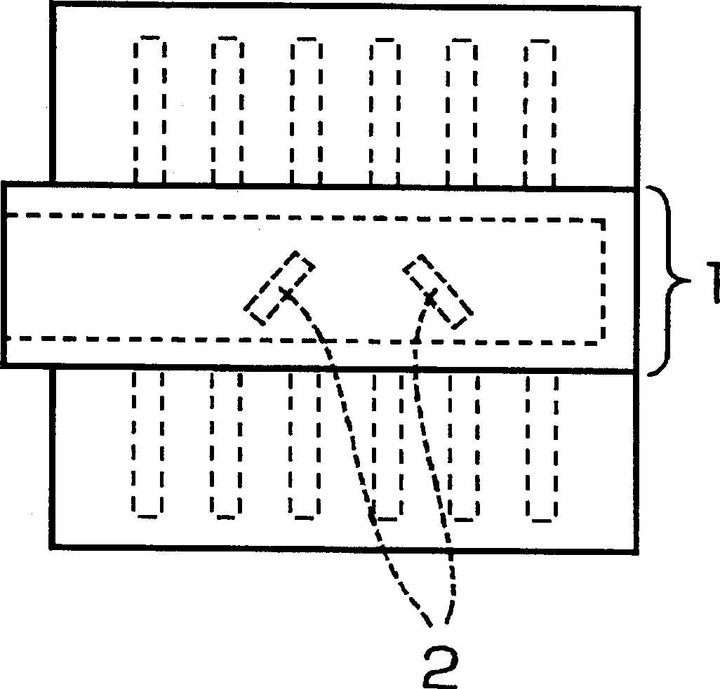 Electric liquid processing device