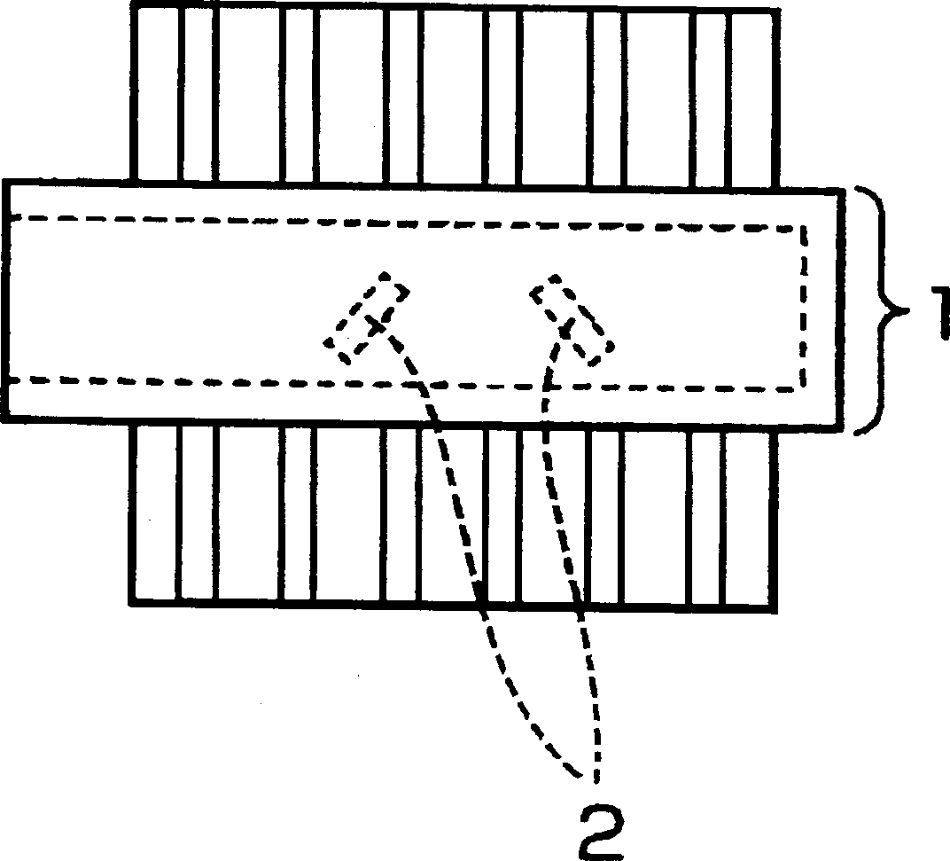 Electric liquid processing device