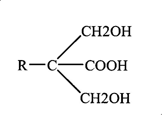 Anion water-soluble polyurethane disperse system for finishing leather and method for preparing same