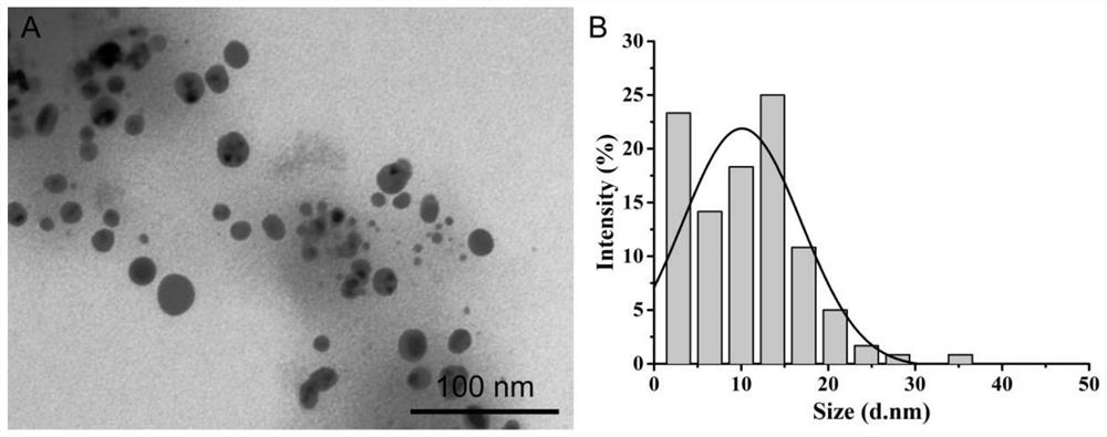 Simple method for preparing nano-silver based on plumeria rubra extracting solution