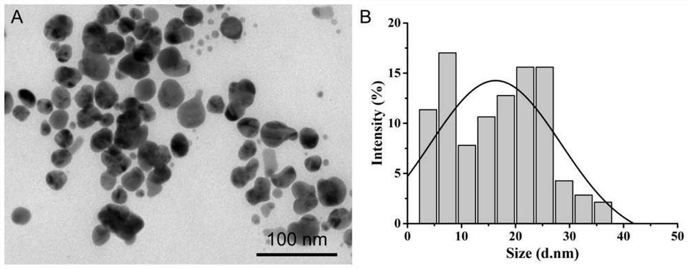 Simple method for preparing nano-silver based on plumeria rubra extracting solution